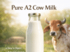 What is A2 Milk? Where to buy A2 milk in Dehradun? buy pure a2 milk dehradun, pure indian cow a2 milk