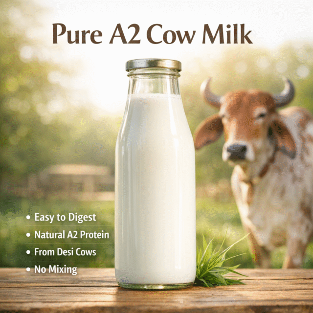 buy pure a2 milk dehradun, pure indian cow a2 milk